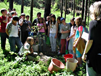 Ein neuer Baum im Hain der Tausendjährigen silberwald1