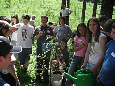 Ein neuer Baum im Hain der Tausendjährigen silberwald2